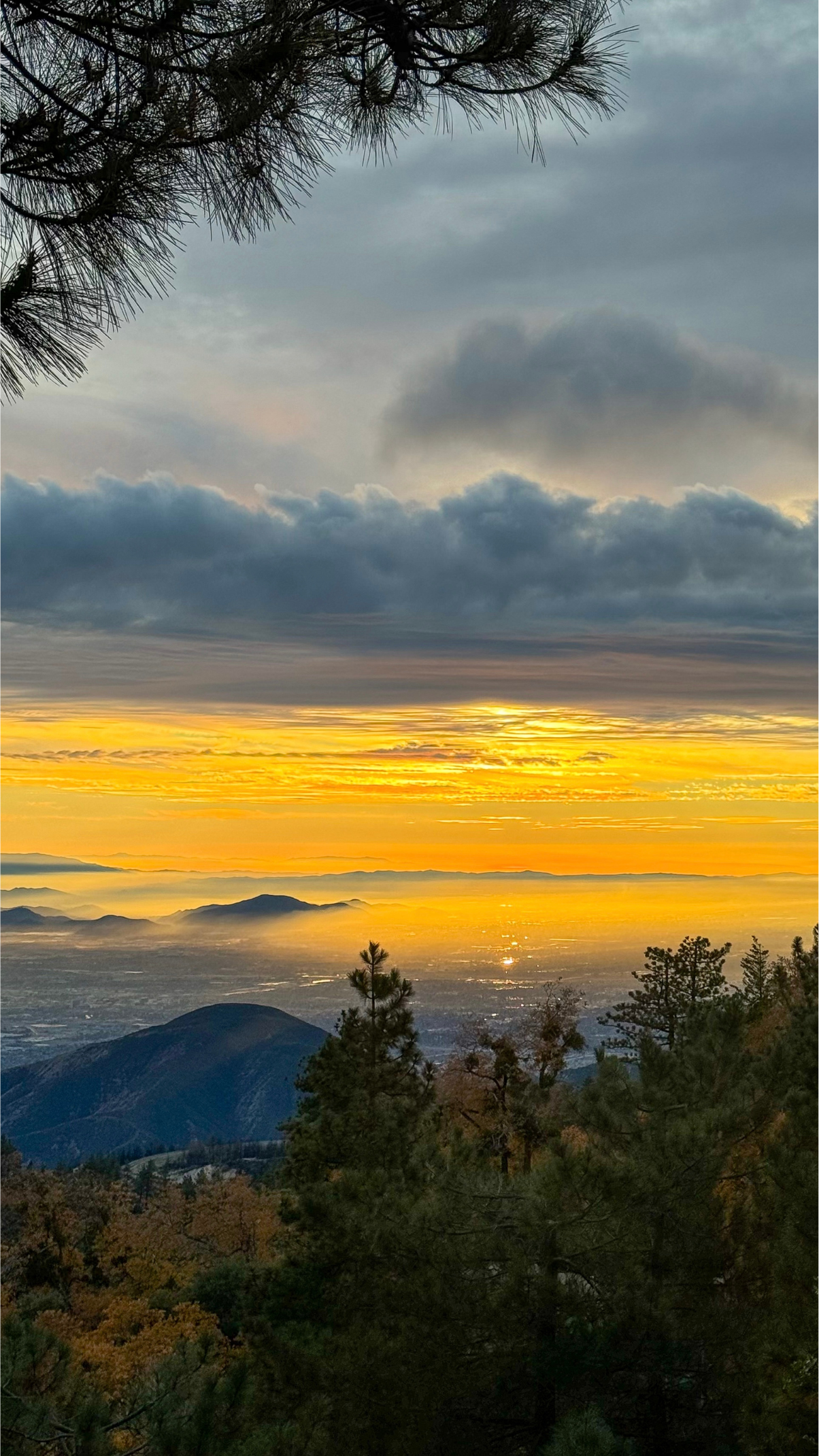 Best Airbnb in Running Springs with Breathtaking Views