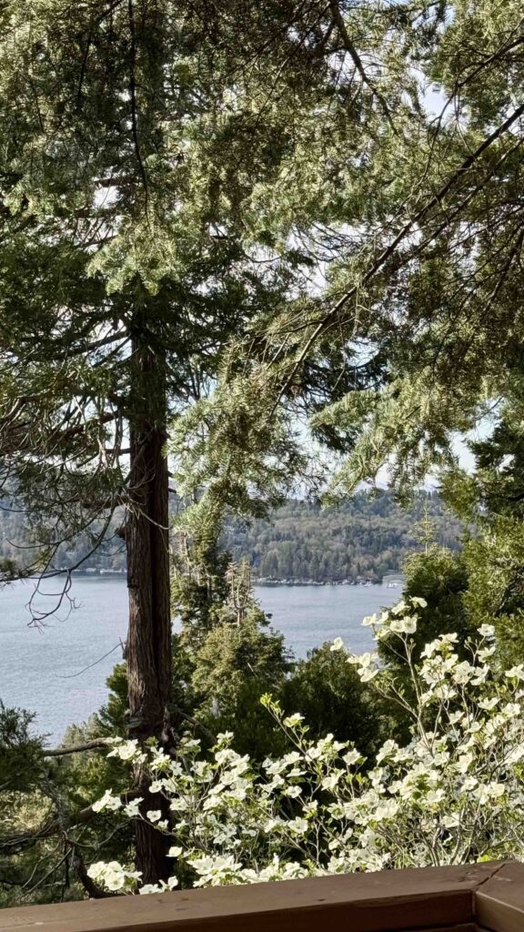 airbnb cabin in lake arrowhead ca
